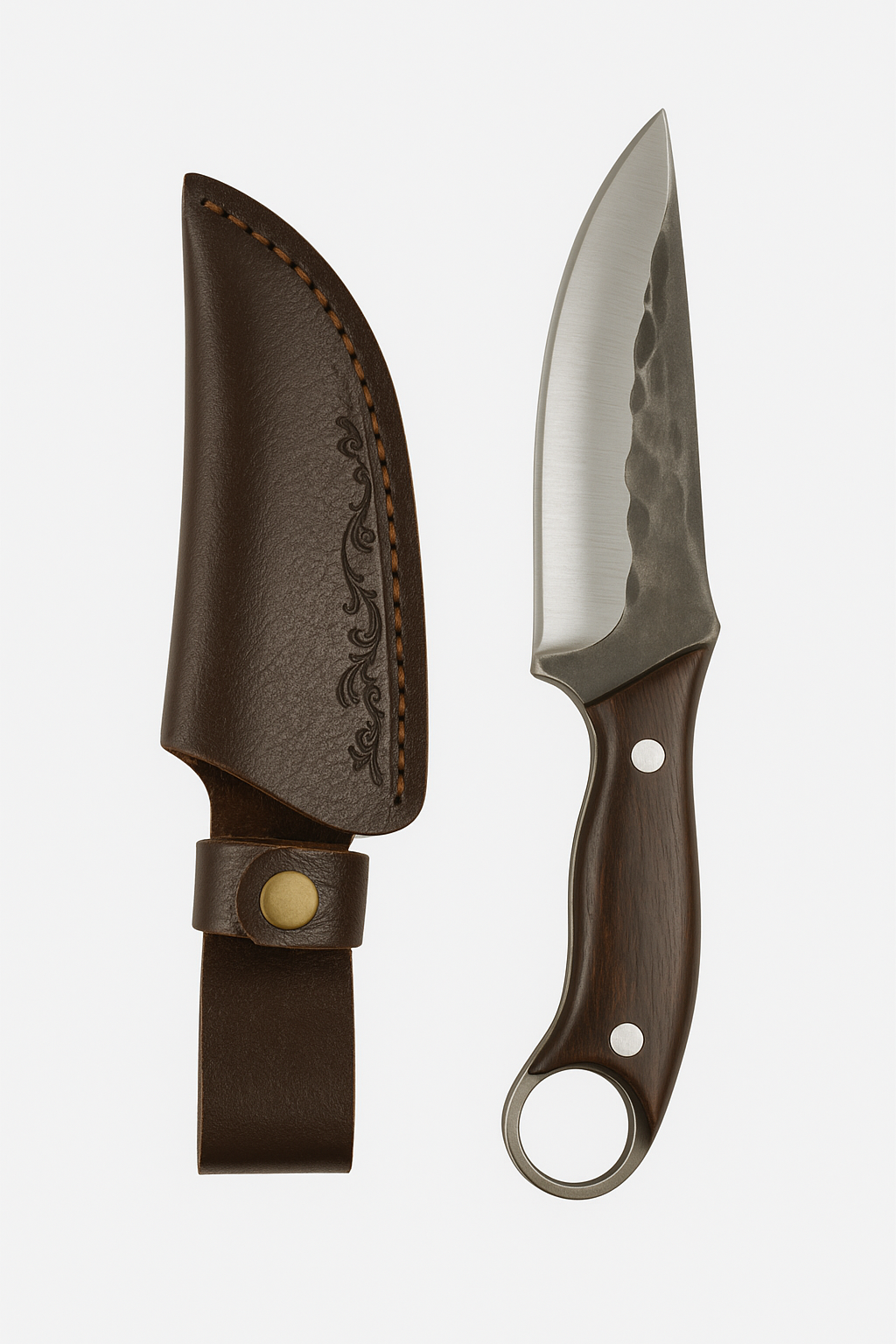 gid://shopify/MediaImage/26581393571910